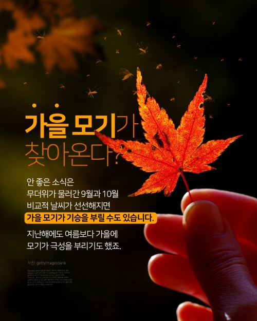 카드 뉴스 이미지