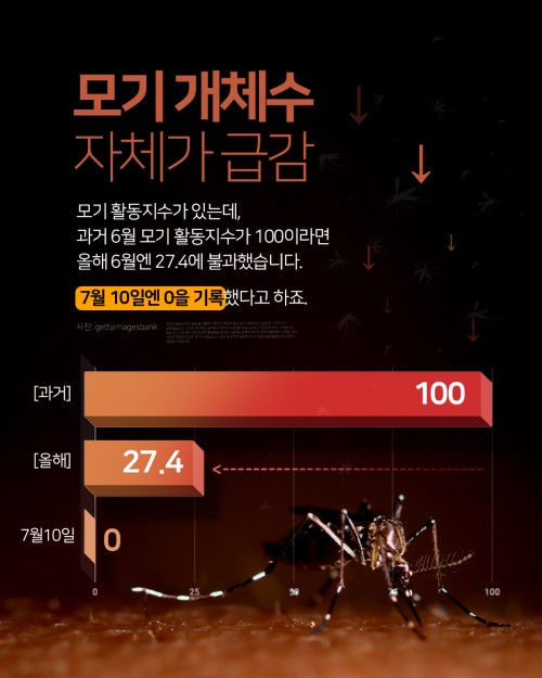 카드 뉴스 이미지
