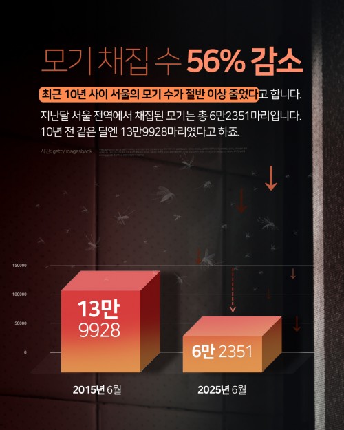 카드 뉴스 이미지