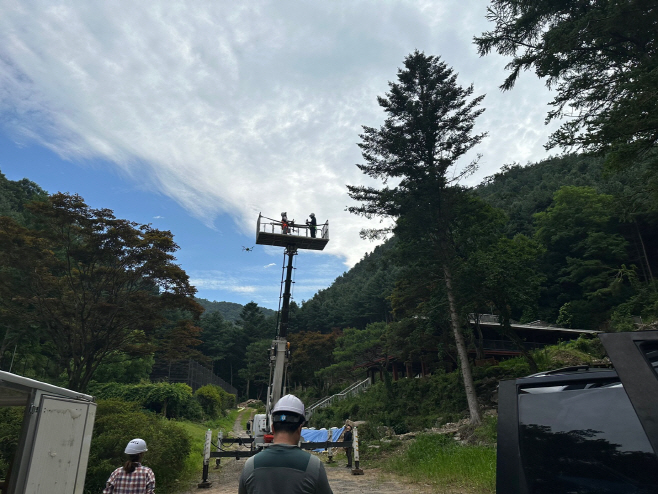 제출사진