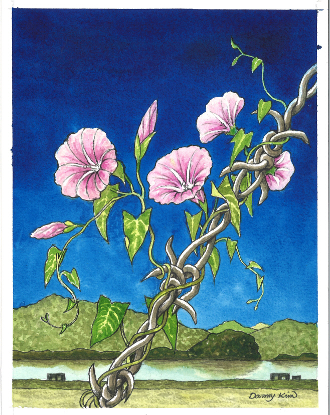 메꽃 그림
