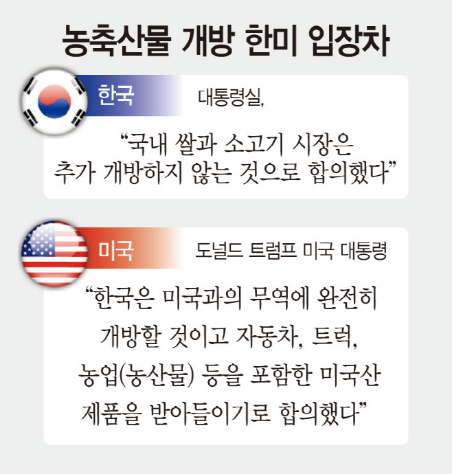 KakaoTalk_20250731_175305483