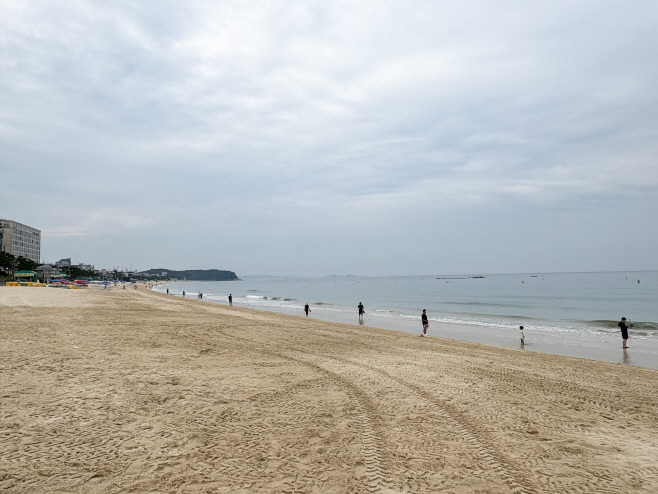 KakaoTalk_20250805_101005373