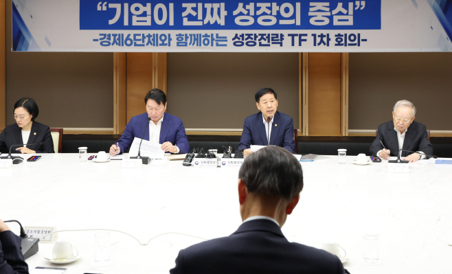 성장전략 TF 회의-11