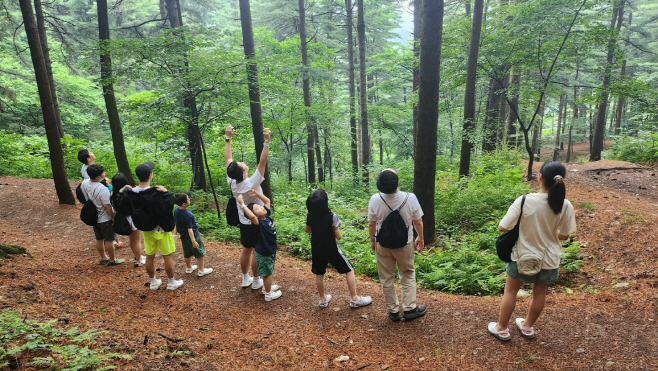 포천하늘아래치유의숲(1)
