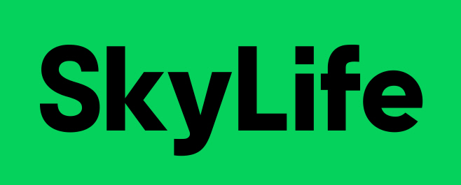 1. skylife BI 이미지