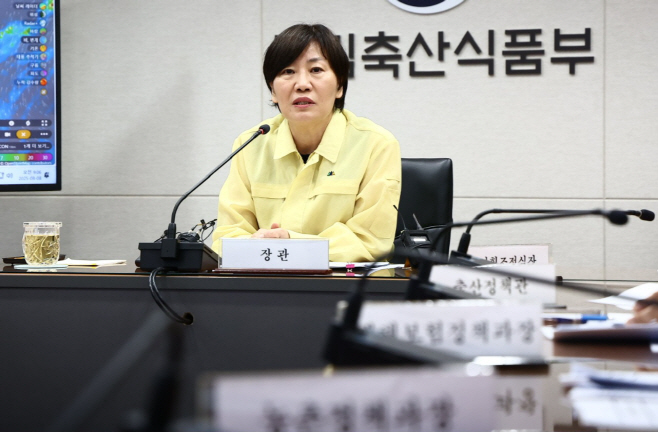 사진 3