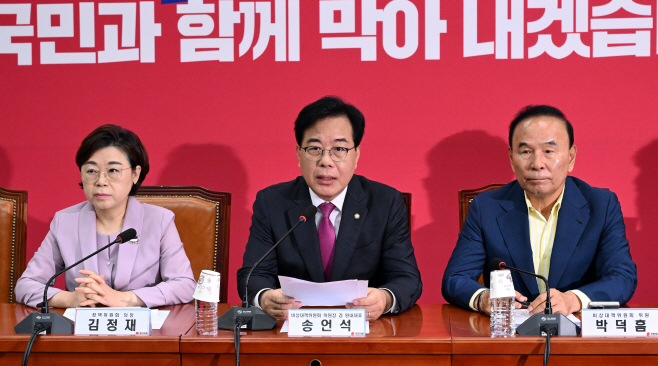 국민의힘 비상대책위원회의