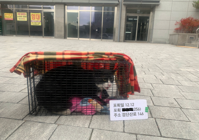 하남시_길고양이방사