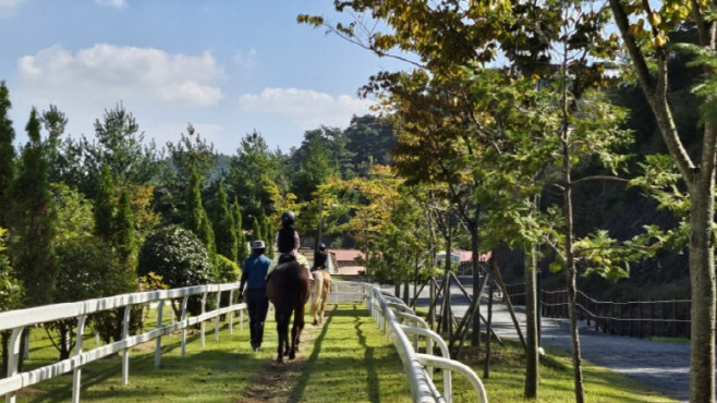 승마와 함께하는 더 특별한 함안 여행