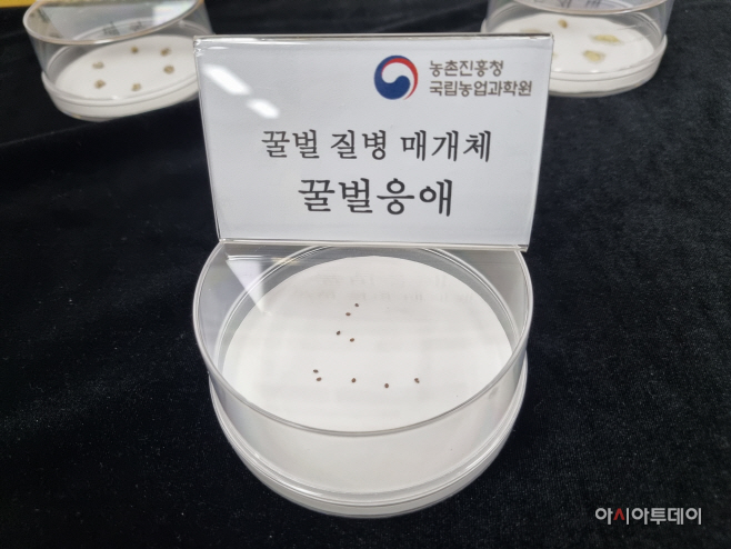 KakaoTalk_20250820_144954235