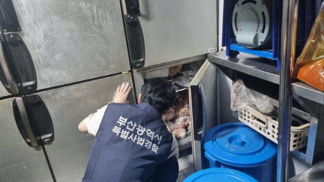 단속사진