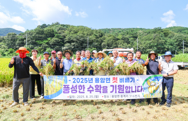 성주군 풍년기원! 용암면 첫 벼베기