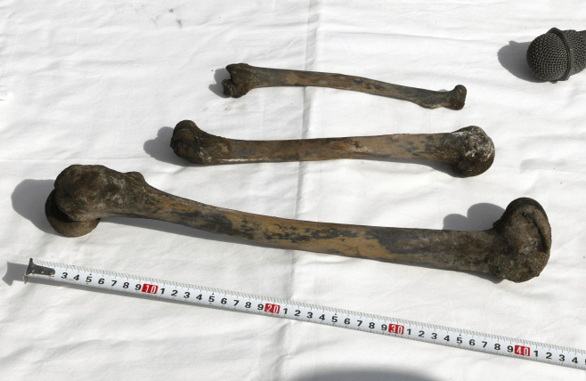 Japan Wartime Mine Bones <YONHAP NO-3523> (AP)
