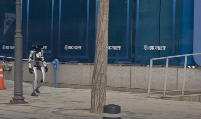 robot