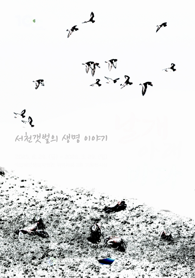 날개 아래 바다 - 서천 갯벌의 생명 이야기