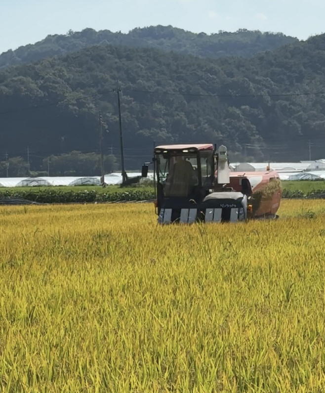 3월생농부’ 2025년산 해담벼 첫 타작(수확사진2)