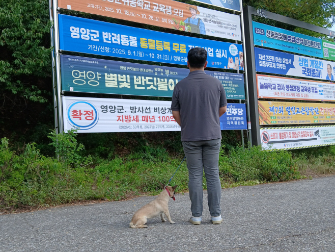 2-2 사진(반려동물등록 무료사업 실시)