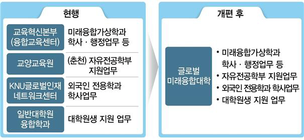 강원대 조직 개편 전후 조직도