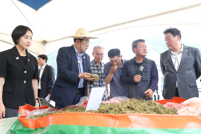 경주시, 신규사료작물 알팔파 재배기술 보급 연시회 열어(1)
