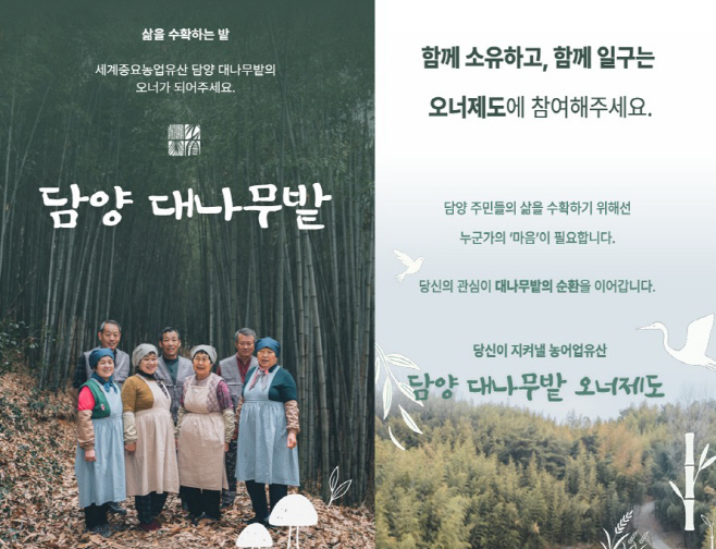 담양 대나무밭 크라우딩 펀딩