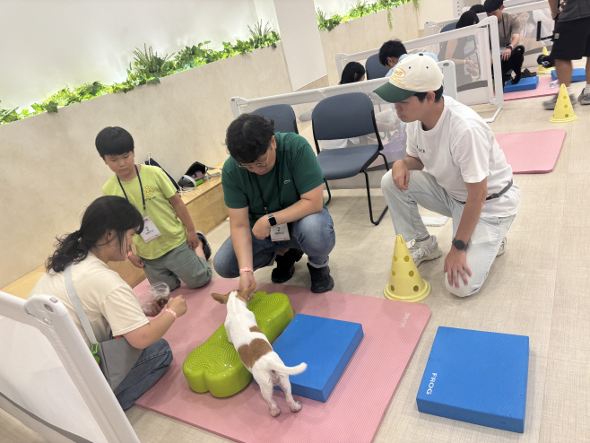 키녹-경주시 반려견 입양 행사 '경주 댕댕여행'