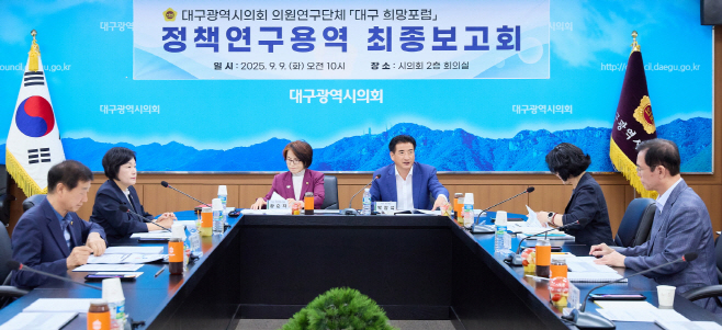 대구 희망포럼 최종 보고회2