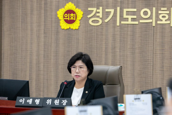 이애형 위원장