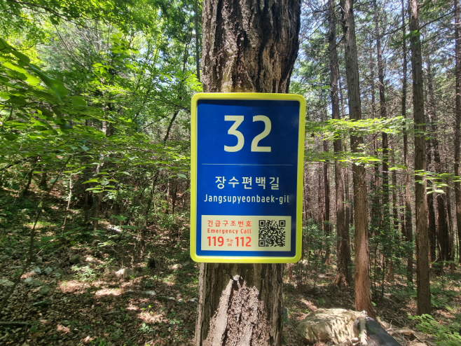 전남도
