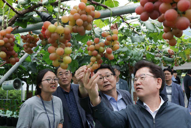 포도 스마트팜 선도 농장 방문