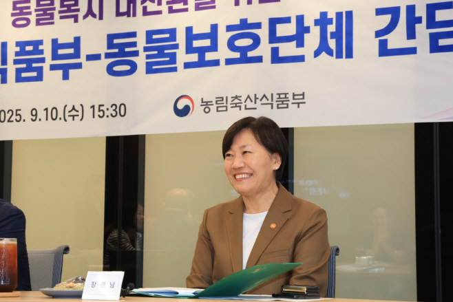 사진 5