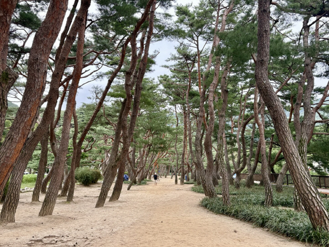 KakaoTalk_20250916_104241443