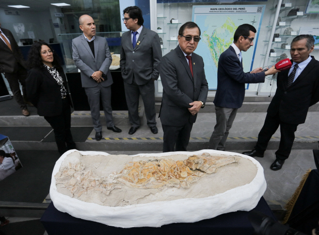 PERU-FOSSIL/ <YONHAP NO-4416> (REUTERS)