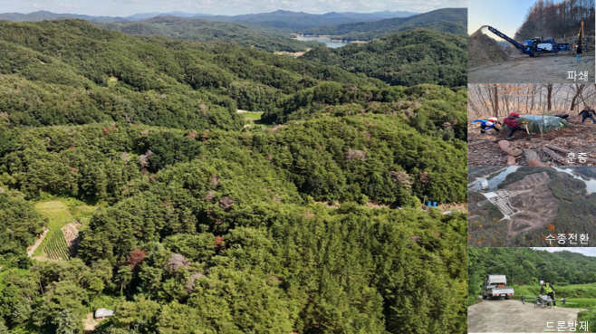 0922 안동시  재선충병 확산 차단 나선다