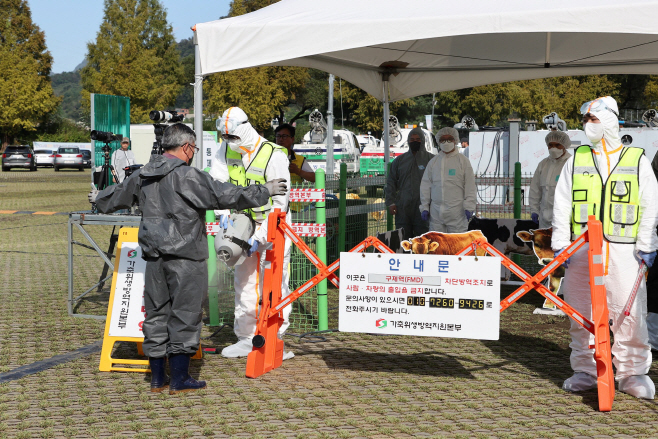 (가)가평군, 실전 같은 ‘가축전염병 가상방역훈련’ 실시3