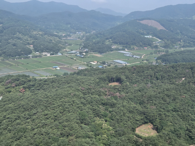 예산군, 덕산권역 소나무재선충병 방제 기본계획 수립 착수