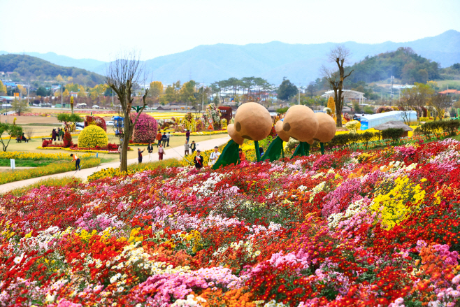 화순군