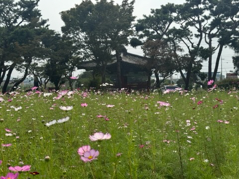 관광과(1. 국보 봉선홍경사 갈기비)