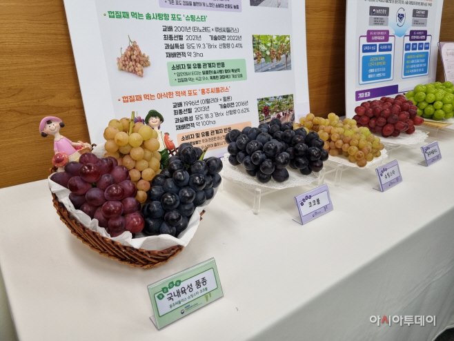 KakaoTalk_20251015_161845220