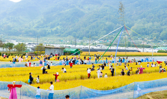 2._(참고)2024_성주가야산황금들녘메뚜기축제(메뚜기잡이)