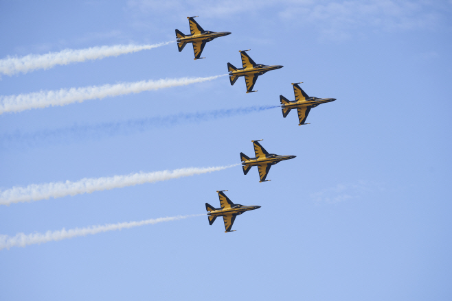 사진2) 블랙이글