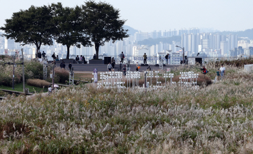 가을 속으로<YONHAP NO-3293>