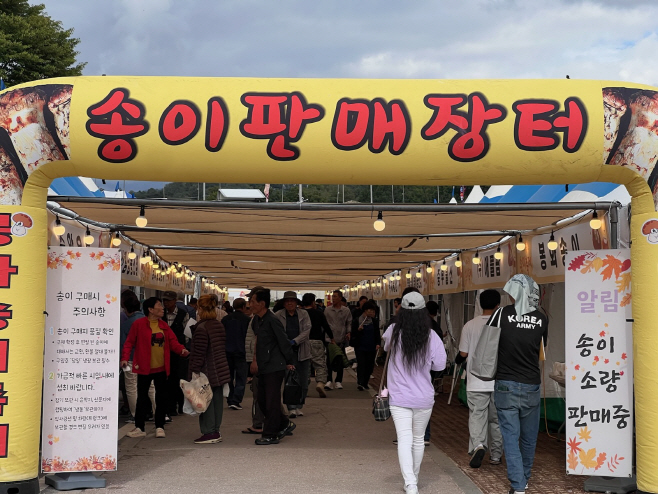 송이판매장터4