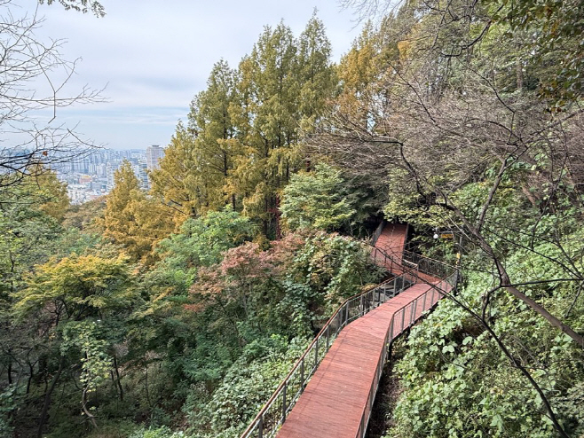 무장애숲길