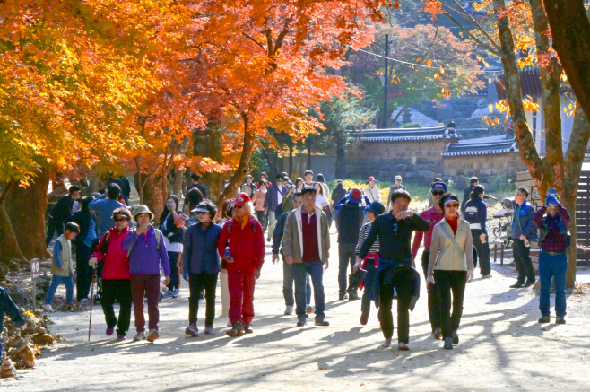 순창 1023 - 강천산군립공원, 10월 24일부터 가을 성수기 운영 시작