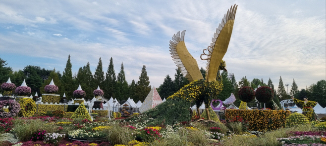 활짝 핀 익산 천만송이 국화축제_24일 개막