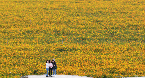 가을의 한가운데<YONHAP NO-3872>