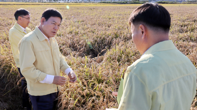 벼 깨씨무늬병 농업재해