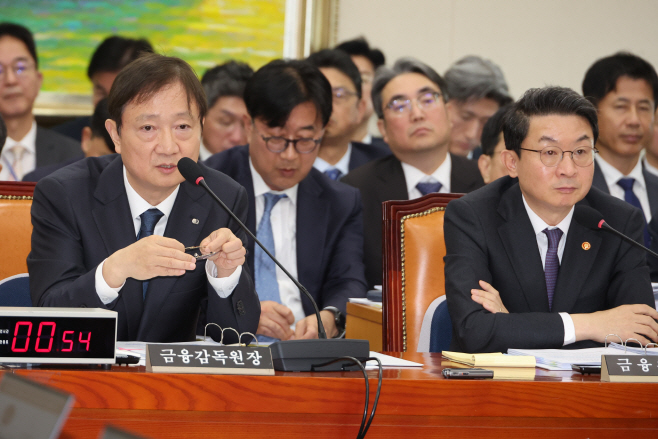 답변하는 이찬진 금감원장