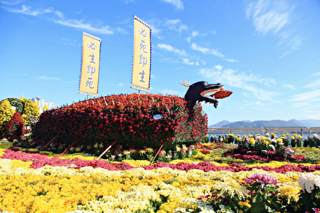 제24회 마산가고파국화축제(2024) (1)
